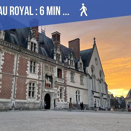 شقة Moderne 60M2 Vue Sur La Loire Hypercentre بلْوا المظهر الخارجي الصورة
